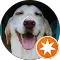 Megan G. profile picture